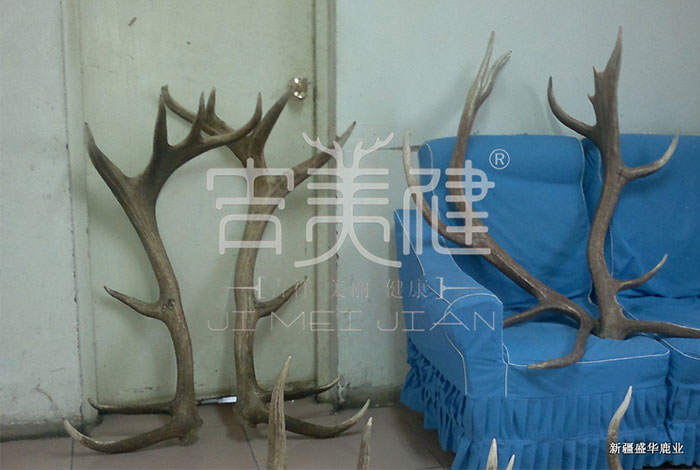 新疆昌吉華盛商貿鹿角